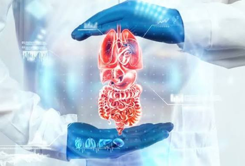 Gastroenterology